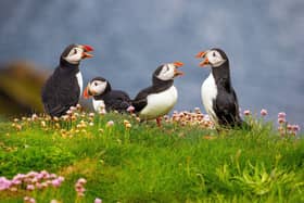 A new survey has revealed 48 per cent of people in the East Midlands are unsure where to spot different animals.