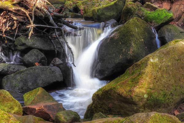 Padley Gorge is one of the sites boasting jaw-dropping views, where you can also enjoy a picnic nearby