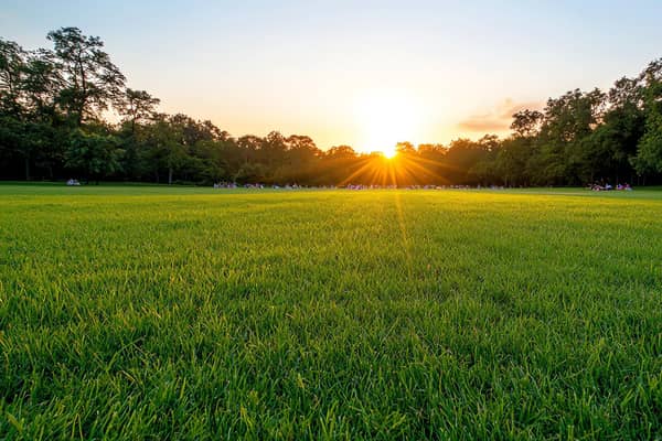 It was worth getting up early for to see the sunrise. Photo: Adobe