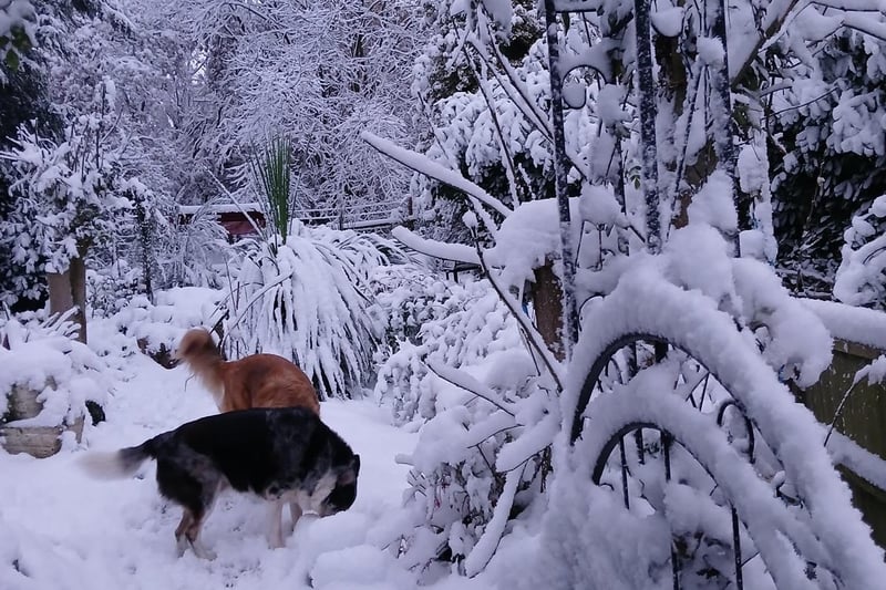 Ruth Evans sent in this photo of Holbrook.