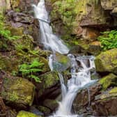 Lumsdale Falls can be found to the north-east of Matlock - and should be high on your list if you find yourself in the area.