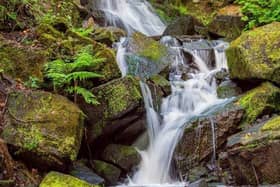 Lumsdale Falls can be found to the north-east of Matlock - and should be high on your list if you find yourself in the area.
