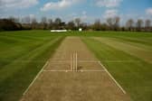 Cricket pitch
