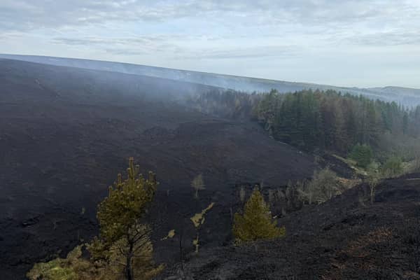 Devastating photos show shocking aftermath of huge Peak District wildfire 