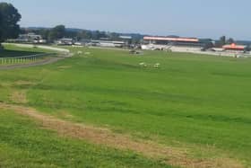 Event venue