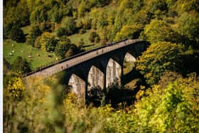 Peak District: Monsal Trail reopens after felling 1,500 diseased trees