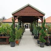 Glapwell Nurseries has a 4.6/5 rating based on 1,077 Google reviews.