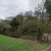 The owners of an ancient Derbyshire wood claim permission is not required for an airsoft and paintball “killzone” which has been operating for years without planning consent.