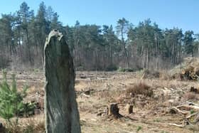 Part Of A Bronze Age Stone Circle Near To Proposed Holiday Development Site Near Matlock, Courtesy Of Save Farley Moor Campaigners