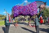 Watch as War Horse memorial gets purple poppy coat to remember fallen service animals
