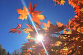 Derby is set for a sunny week ahead according to the the latest weather report